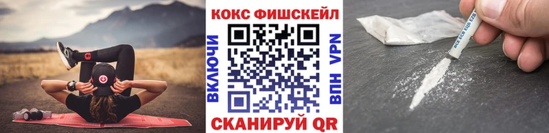 где продают наркотики  Нестеров  Кокаин FishScale 