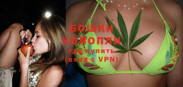 PSILOCYBIN Алзамай