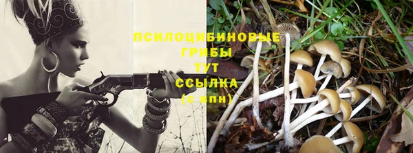 ешки Алексеевка