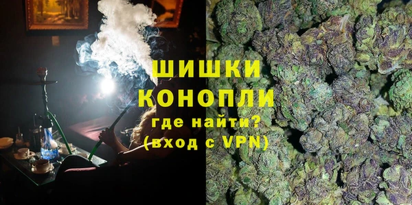 PSILOCYBIN Алзамай