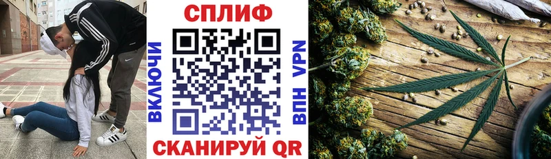 Конопля OG Kush где купить наркоту Нестеров